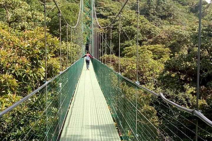 Zipline. Butterfly Garden and Hanging Bridges Tour from San Jose  - Photo 1 of 18